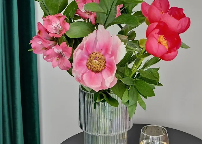 Deo Plaza & Riverside By Downtown 格但斯克